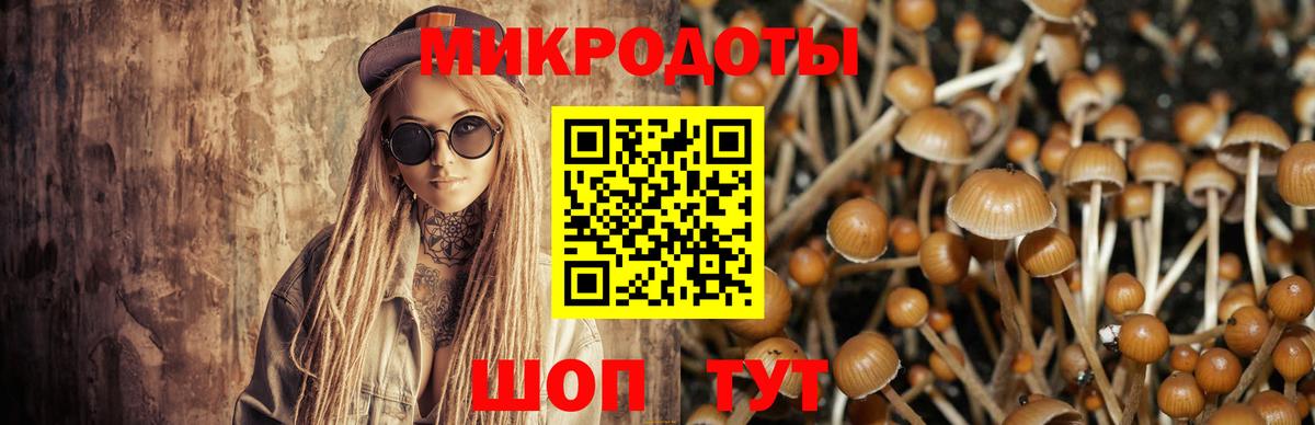 Галлюциногенные грибы ЛСД Берёзовский