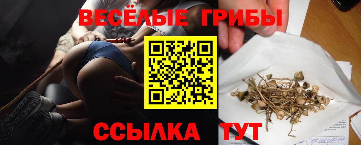 Галлюциногенные грибы ЛСД  Вход с VPN  Псилоцибиновые грибы Psilocybe  Берёзовский 
